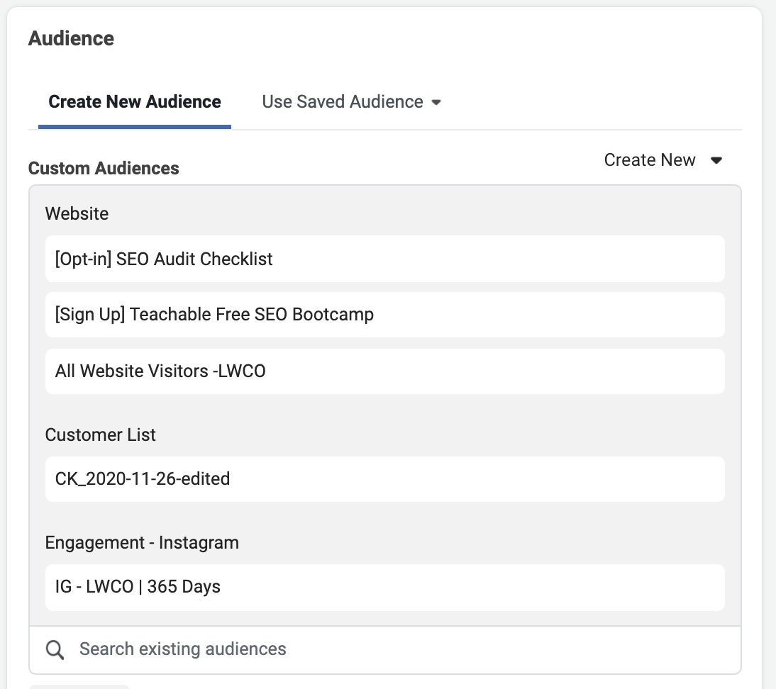 custom warm audience