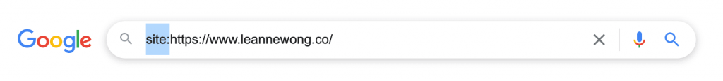 site search google