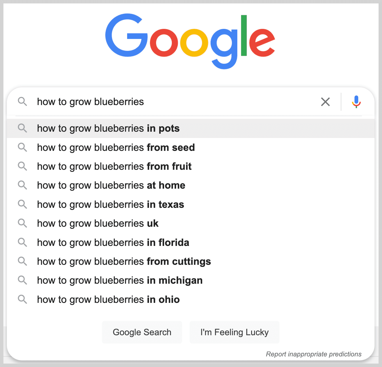 autocomplete-serp