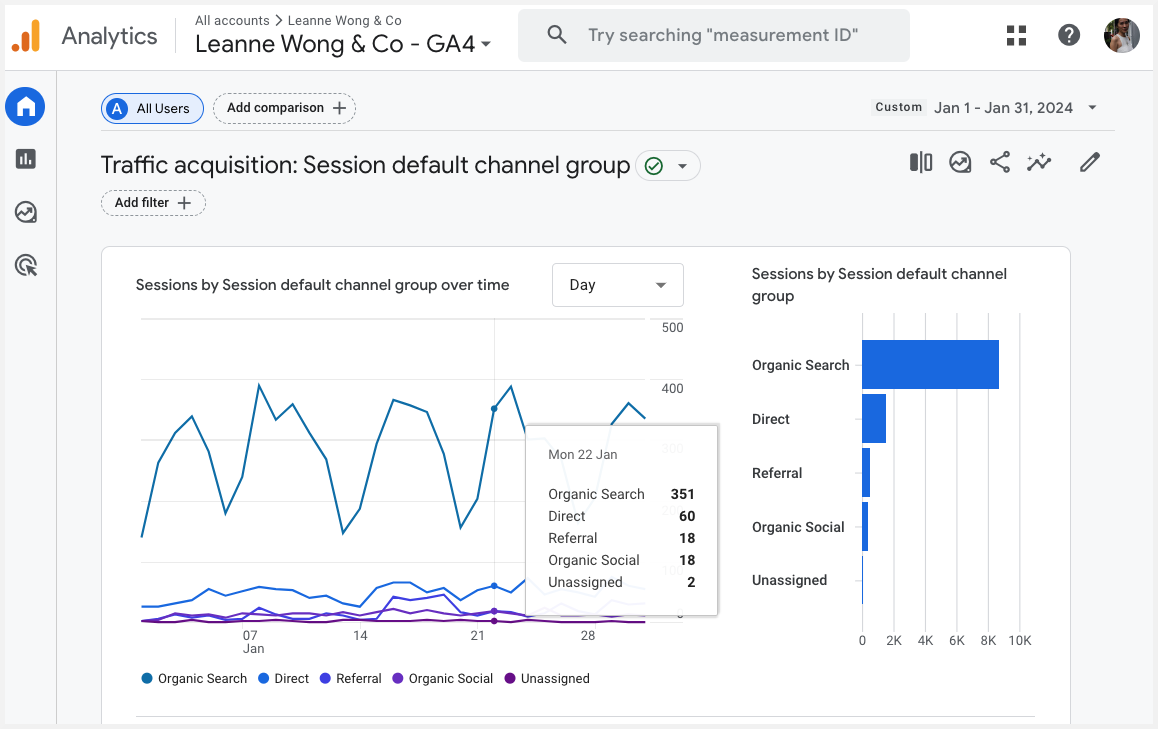 google-analytics-traffic-leanne