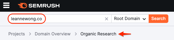 semrush-organic-research-domain